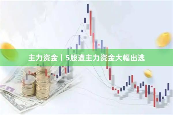 主力资金丨5股遭主力资金大幅出逃