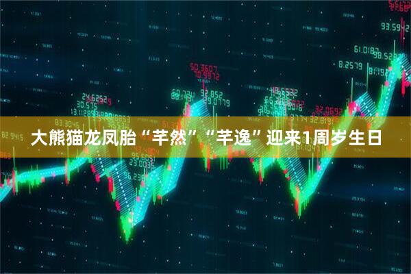 大熊猫龙凤胎“芊然”“芊逸”迎来1周岁生日