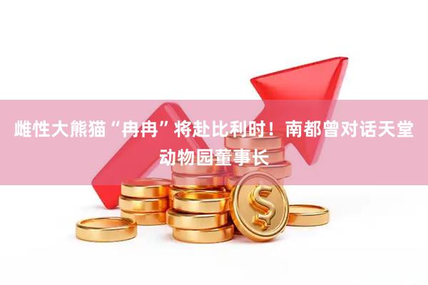 雌性大熊猫“冉冉”将赴比利时！南都曾对话天堂动物园董事长